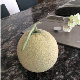 melon